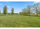 Expansive green space with mature trees offers a serene and park-like setting at 5141 S Cobblestone Dr, Zionsville, IN 46077