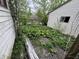 Overgrown plants and a fence define the side yard space of this property at 811 N Oxford St, Indianapolis, IN 46201