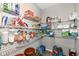 Walk-in pantry with metal shelving, packed full of groceries and household items at 8811 Dorill Creek Ln, Indianapolis, IN 46259