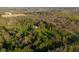 Aerial view of the home nestled among lush trees and greenery at 15617 Westfield Blvd, Carmel, IN 46033