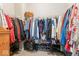 Large walk-in closet providing ample storage with shelves and hanging space at 161 Tamarack Larch Blvd, Cicero, IN 46034