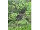 Backyard featuring lush vegetation at 2414 S Rybolt Ave, Indianapolis, IN 46241