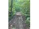 Dirt road winds through the woods at 5607 E 500 N, Greenfield, IN 46140