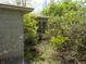View of house exterior amongst untamed foliage at 6736 E Michigan St, Indianapolis, IN 46219