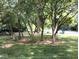 Property featuring a lush green lawn, mature trees, and colorful flowers at 8728 Holliday Dr, Indianapolis, IN 46260