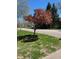 Charming street view featuring a flowering tree and well-maintained lawn at 8728 Holliday Dr, Indianapolis, IN 46260