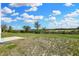 Large backyard featuring a well-maintained lawn with space for outdoor activities at 113 Hunter'S Rdg Dr, Danville, IN 46122
