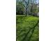 A spacious backyard surrounded by mature trees and lush green grass, perfect for outdoor activities at 1254 S Leland Ave, Indianapolis, IN 46203