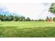 Open soccer field with a goal, providing ample space for sports and recreational activities at 14153 Jasmine Ct, Fishers, IN 46038