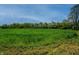 Wide shot of a vibrant green field, bordering mature trees at 2557 Cedarcrest Dr, Columbus, IN 47203