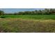 Lush green field, stretching out to a line of trees at 2557 Cedarcrest Dr, Columbus, IN 47203