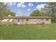 Expansive backyard with well-maintained lawn, brick home, and a charming greenhouse on a sunny day at 3008 Old State Road 37, Greenwood, IN 46143