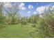 Picturesque backyard with lush greenery and mature trees, offering a private and serene outdoor space at 3008 Old State Road 37, Greenwood, IN 46143