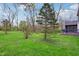 Lush backyard with mature trees and a fire pit, offering a serene outdoor retreat at 524 Deerberry Dr, Noblesville, IN 46062