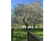 Landscaped backyard with blooming tree and view of the pond at 6337 Whitaker Farms Dr, Indianapolis, IN 46237