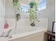 Close up of a bathroom soaking tub decorated with hanging plants at 2116 Crimson Ln, Lebanon, IN 46052