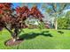 Lush front yard with mature trees and vibrant foliage in front of a quaint house at 2221 Douglas Rd, Indianapolis, IN 46220