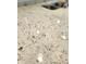 Close up of Quartz Countertop with dark veining at 4734 Cleome Dr, Plainfield, IN 46168