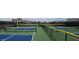 Outdoor pickleball courts with vibrant blue and green surfaces, enclosed by a black fence at 4734 Cleome Dr, Plainfield, IN 46168