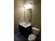 Half bathroom with single sink, mirror, and toilet at 7522 Timberfield Ln, Indianapolis, IN 46259