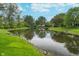 A serene backyard pond offers a relaxing view surrounded by lush greenery and mature trees at 7856 Trotwood Cir, Indianapolis, IN 46256