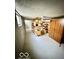 Basement area with shelving, providing storage and potential for organization and customization at 908 E 32Nd St, Anderson, IN 46016