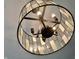 Detailed view of a stylish, caged light fixture at 10688 Ashview Dr, Fishers, IN 46038
