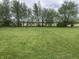 Expansive backyard with lush green grass and mature trees lining the back property line at 247 N 150 W, Greenfield, IN 46140