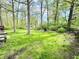 Lush backyard with a seating area, shed, and mature trees, offering a private outdoor space at 4223 Kestrel Ct, Indianapolis, IN 46254