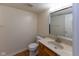 Well-lit half bathroom boasts a vanity, mirror, and fixtures at 6516 Amherst Way, Zionsville, IN 46077