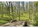 Scenic view of the property with a charming wooden bridge amidst a lush, green landscape at 5190 Potters Pike, Indianapolis, IN 46234