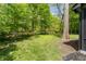 Lush backyard with a canopy of mature trees providing shade and a view of the home at 5548 Painted Maple Ct, Indianapolis, IN 46254