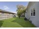 Large, grassy backyard with a mature tree, perfect for outdoor activities and relaxation at 825 Iowa St, Indianapolis, IN 46203