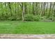 View of a neatly maintained lawn and lush foliage creating a serene natural backdrop at 11541 Coastal Dr, Indianapolis, IN 46229