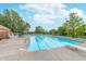 Sparkling community pool with lounge chairs and a diving board surrounded by trees at 1421 Stoney Creek Cir, Carmel, IN 46032