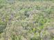 Wide aerial view showcasing lush surrounding trees, giving a sense of the property's expansive location at 2985 Little Hurricane Rd, Martinsville, IN 46151