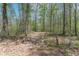 Nature path through trees at 2985 Little Hurricane Rd, Martinsville, IN 46151