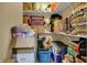 A walk-in closet is packed with boxes, board games, and storage containers at 3101 Woodhaven Way, Bargersville, IN 46106