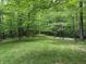 View of the woods at 8310 Goat Hollow Rd, Martinsville, IN 46151