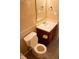 Bathroom featuring a white sink, dark vanity, mirror, and toilet with an open lid at 8912 Hosta Way, Indianapolis, IN 46113