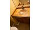 Bathroom featuring a decorative copper sink, and a wooden vanity at 8912 Hosta Way, Indianapolis, IN 46113