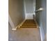 View down carpeted stairs to basement entrance at 8912 Hosta Way, Indianapolis, IN 46113