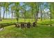 A wooded area with a creek, a custom bench and seating area at 11064 Hamilton Run, Zionsville, IN 46077
