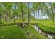 A wooded area with a creek, a custom bench and seating area at 11064 Hamilton Run, Zionsville, IN 46077