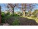 Spacious backyard with mature trees and natural greenery at 268 S Grant Ave, Indianapolis, IN 46201