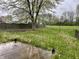 Spacious backyard featuring a combination of grassy areas and landscaping with mature trees at 2154 Walnut Meadow Ct, Indianapolis, IN 46234