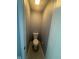 A standard toilet resides in a small, tiled nook with overhead lighting at 317 Legacy Blvd, Greenwood, IN 46143