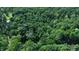 Lush green forest landscape and trees at 3282 S Conservation Club Rd, Morgantown, IN 46160