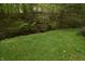 Scenic backyard with a gentle stream surrounded by mature trees at 3282 S Conservation Club Rd, Morgantown, IN 46160