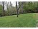 Lush green yard, ideal for outdoor activities, bordered by a forest providing a sense of privacy at 3282 S Conservation Club Rd, Morgantown, IN 46160